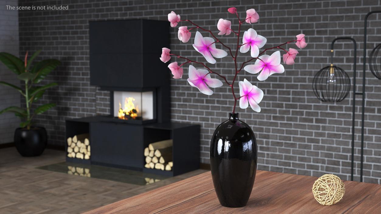 Orchid Collection 2 3D model