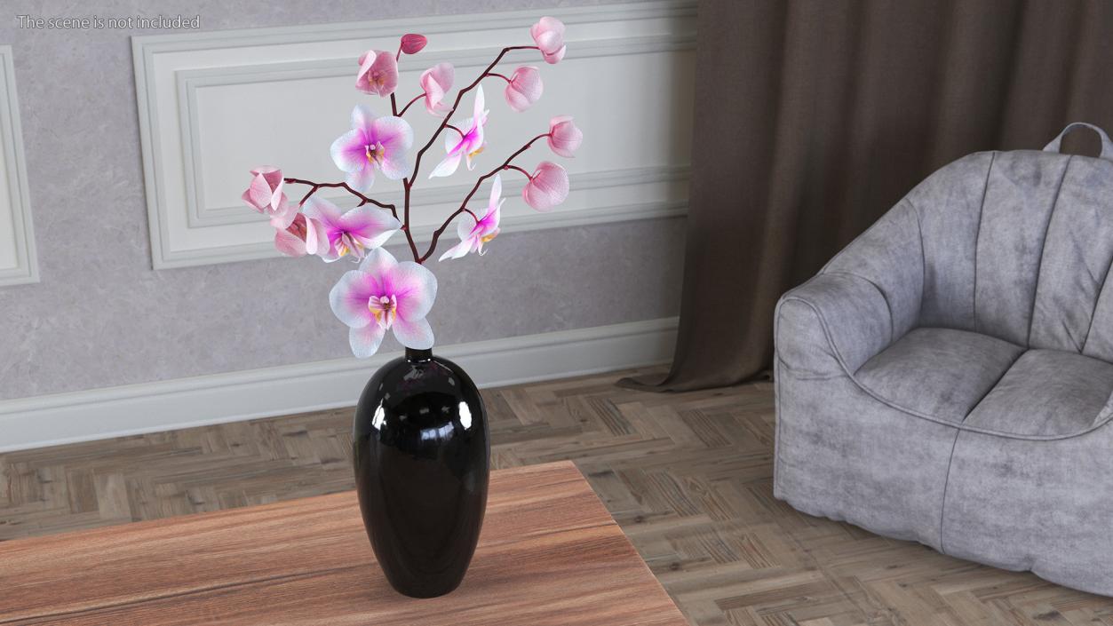 Orchid Collection 2 3D model