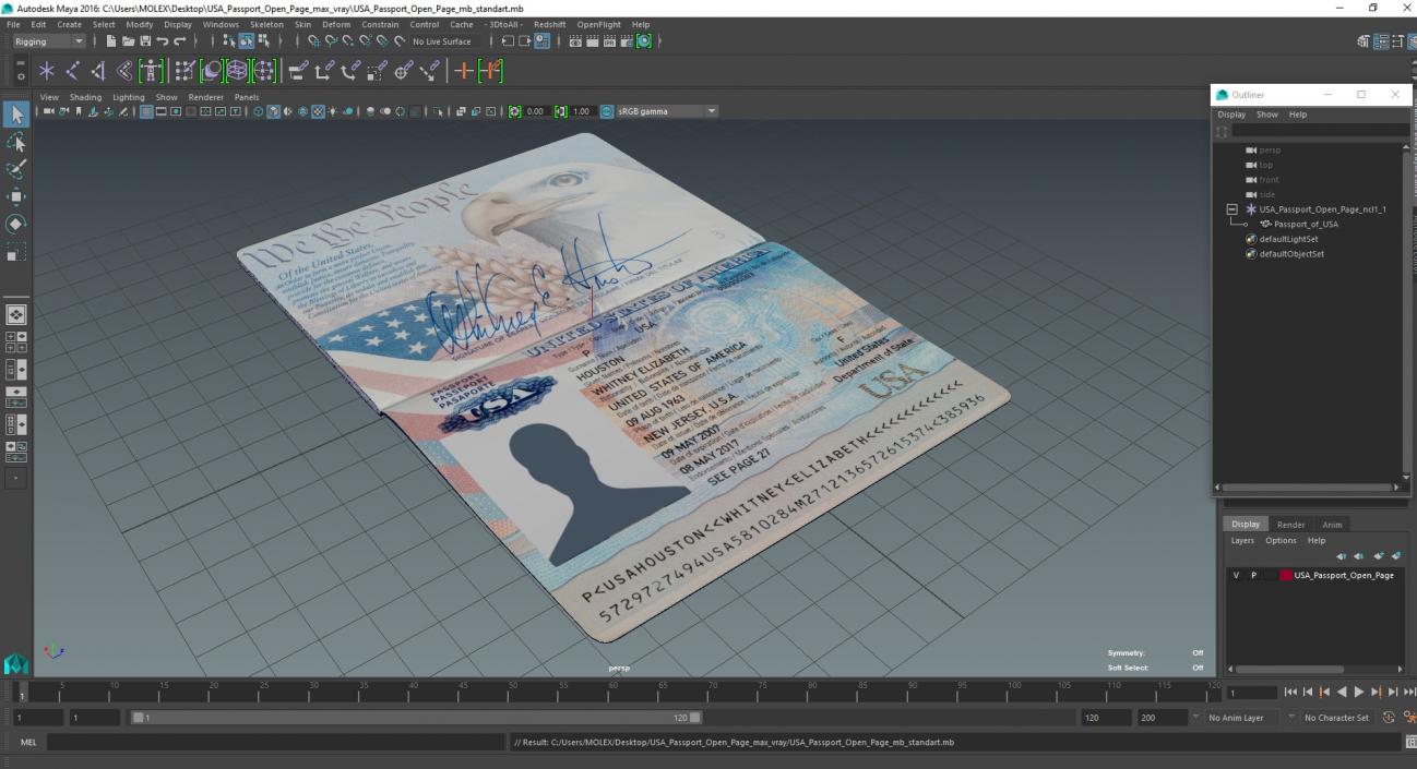 USA Passport Open Page 3D