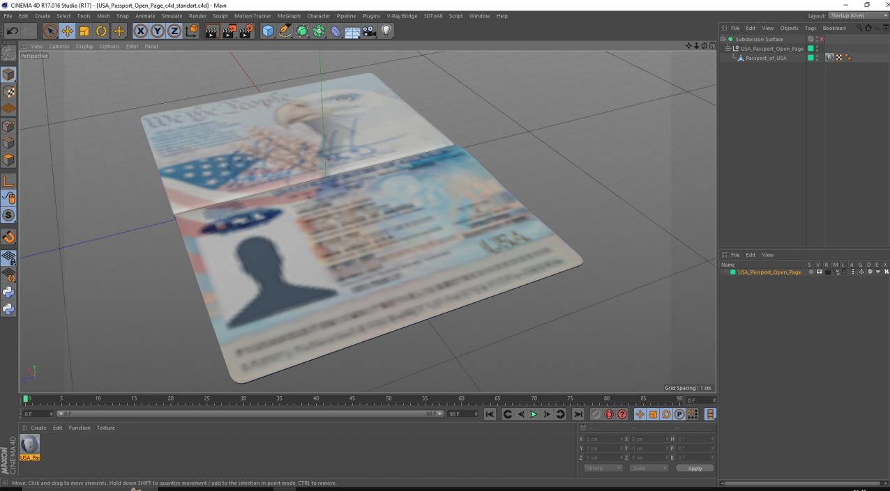 USA Passport Open Page 3D