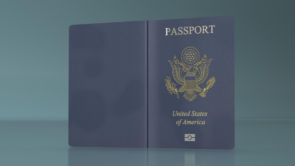 USA Passport Open Page 3D