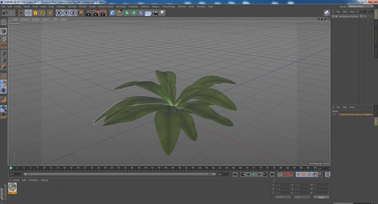 3D Tropical Plant Glauca Cordyline 2 model