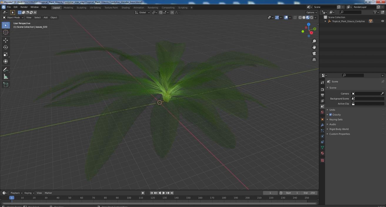 3D Tropical Plant Glauca Cordyline 2 model