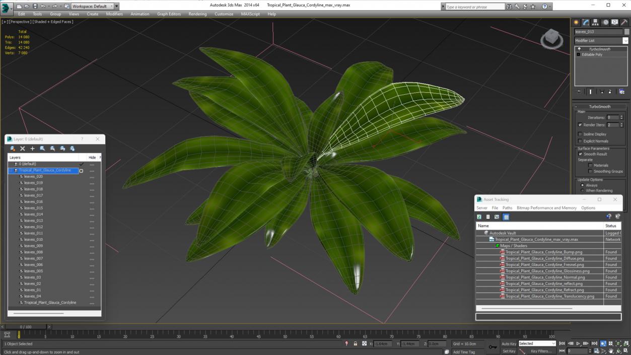 3D Tropical Plant Glauca Cordyline 2 model