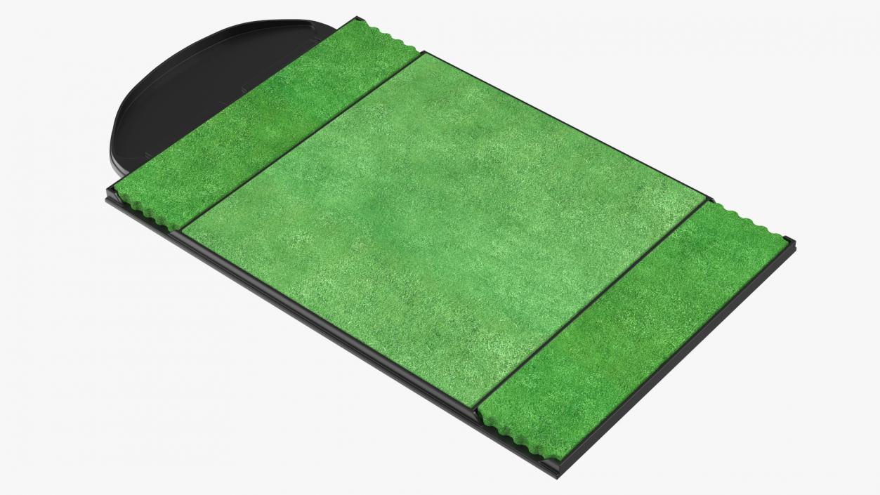 Golf Practice Mat 3D