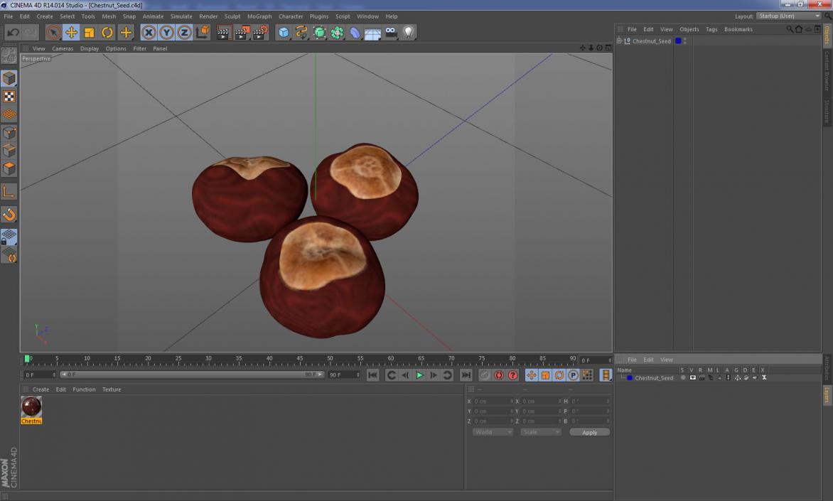 3D Chestnut Seed model