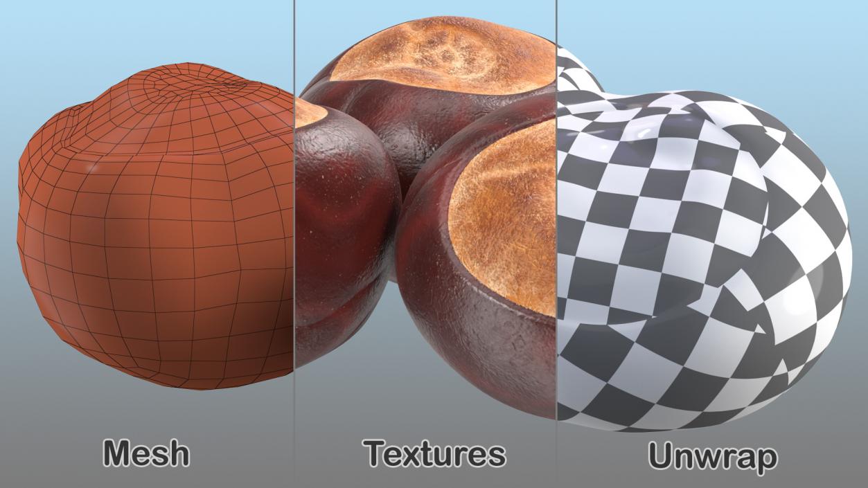 3D Chestnut Seed model