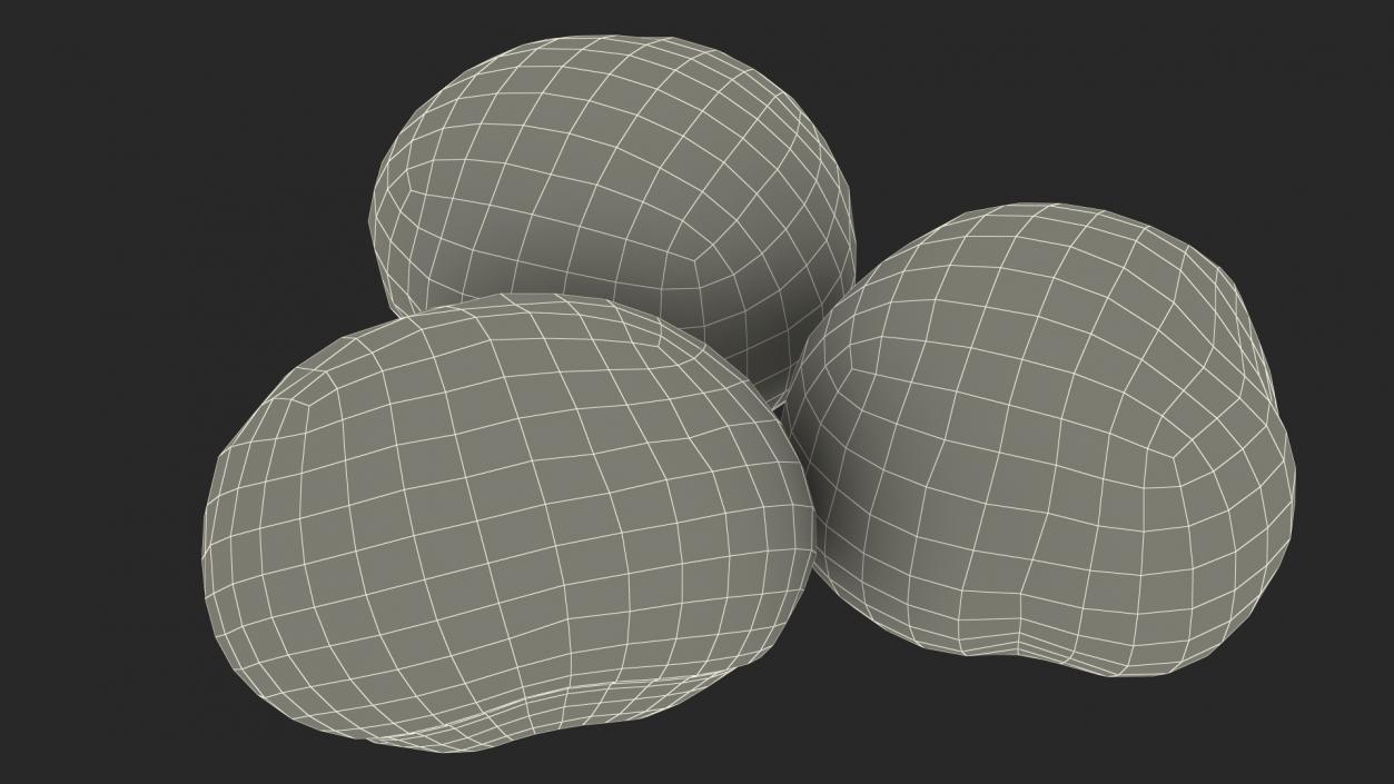 3D Chestnut Seed model