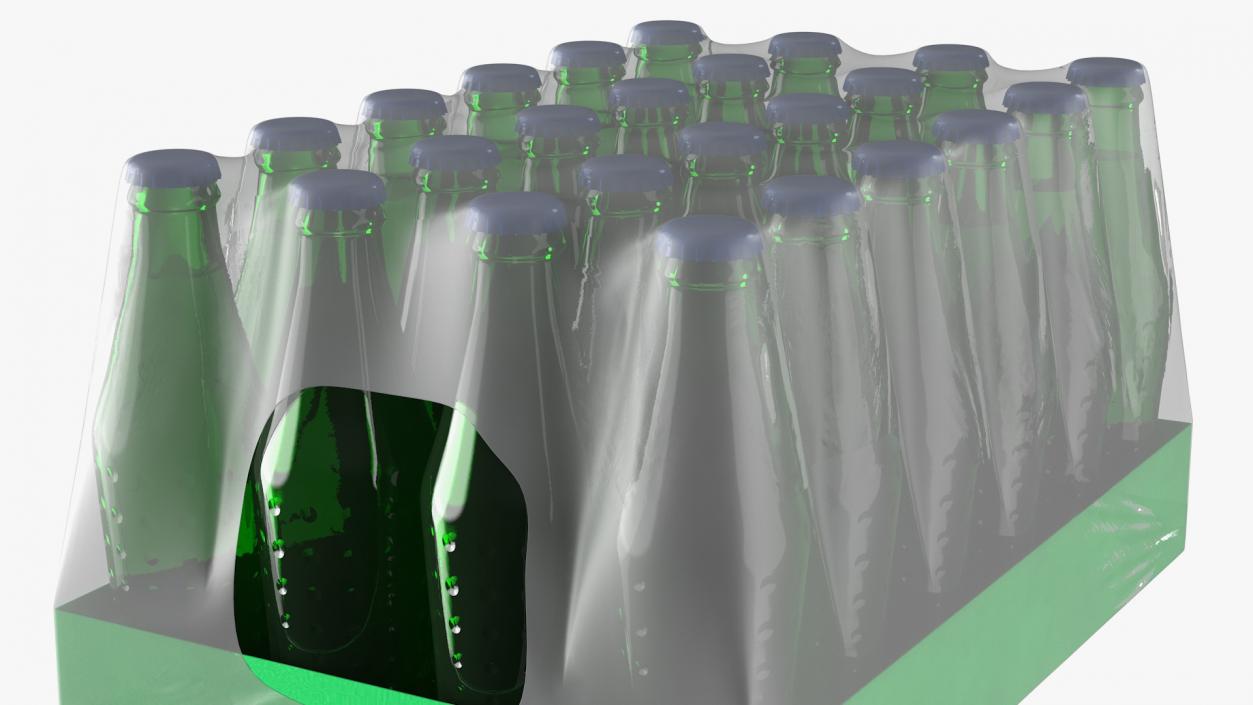 3D model 24 Green Soda Bottle Case