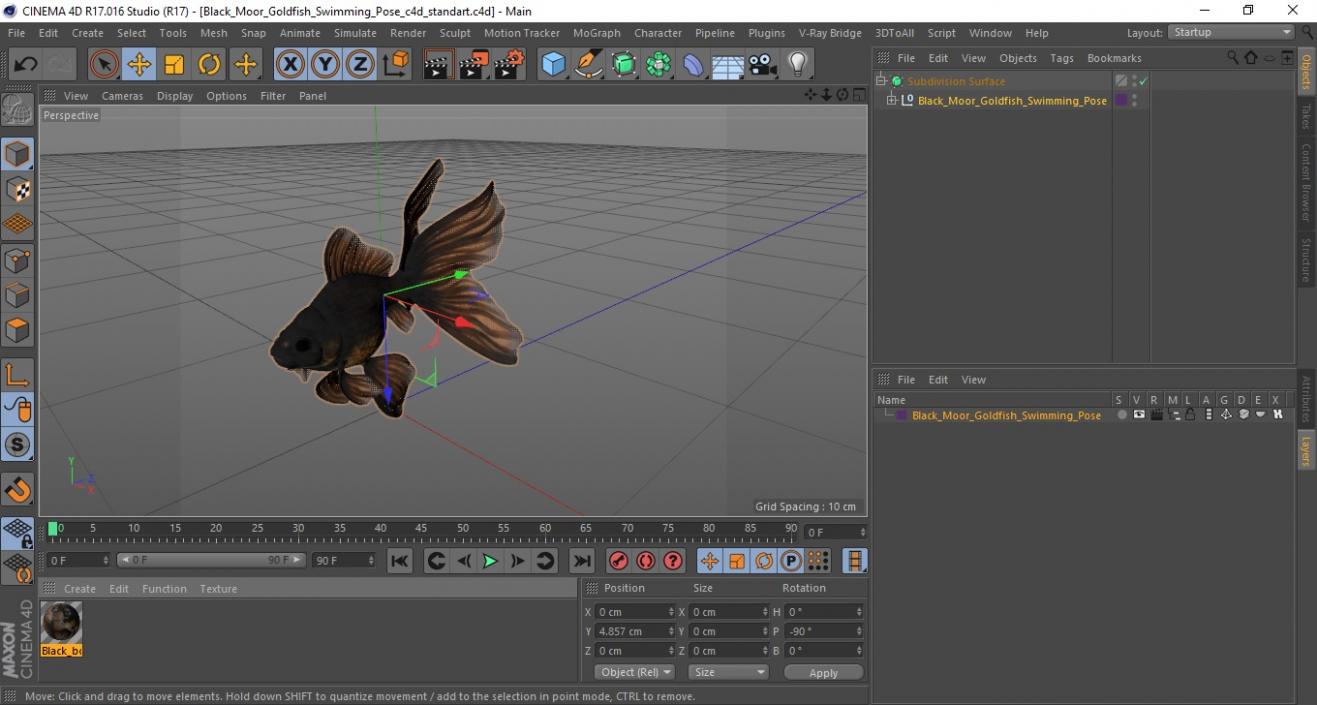 3D Black Moor Goldfish Swimming Pose model