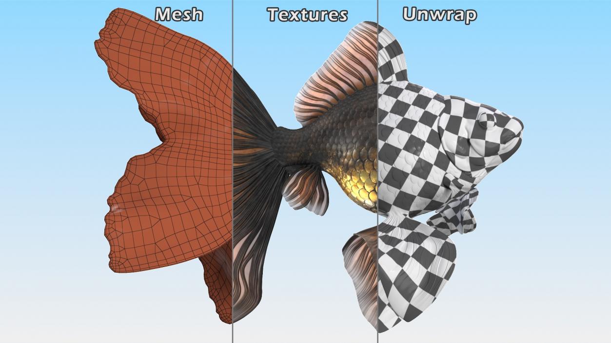 3D Black Moor Goldfish Swimming Pose model