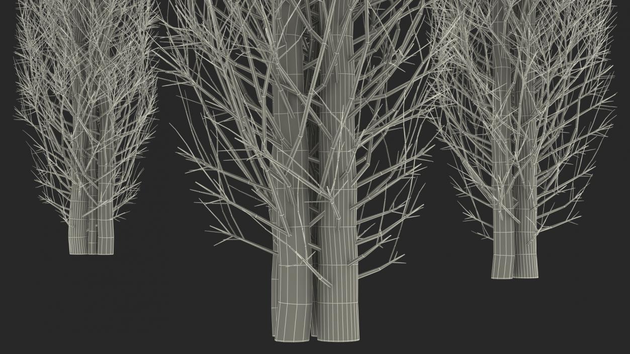 3D Branch Gazebo model