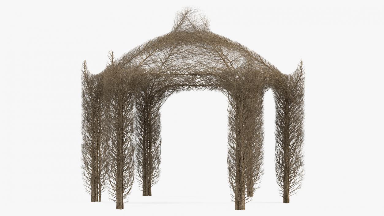 3D Branch Gazebo model