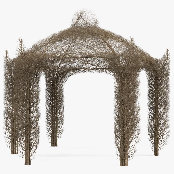 3D Branch Gazebo model