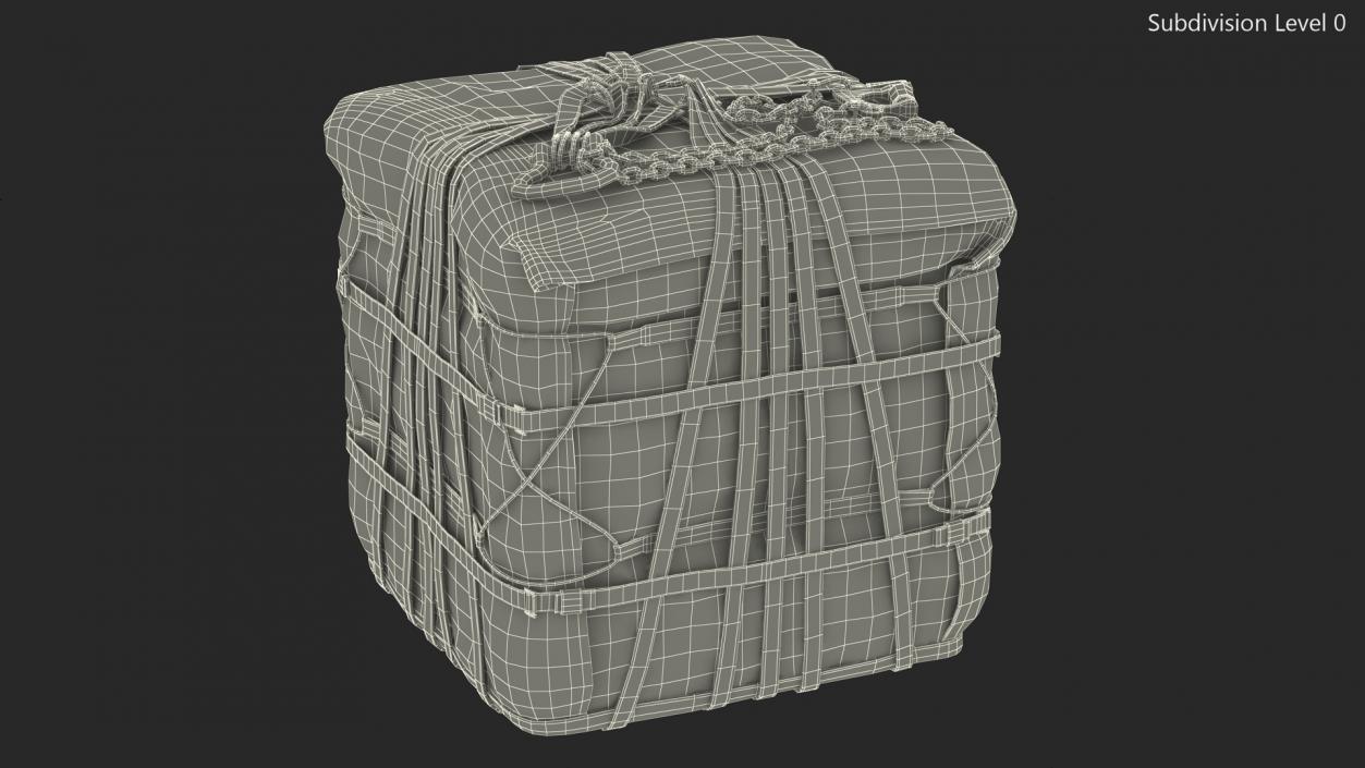 Military Cargo Lifting Net Bag Standing 3D model