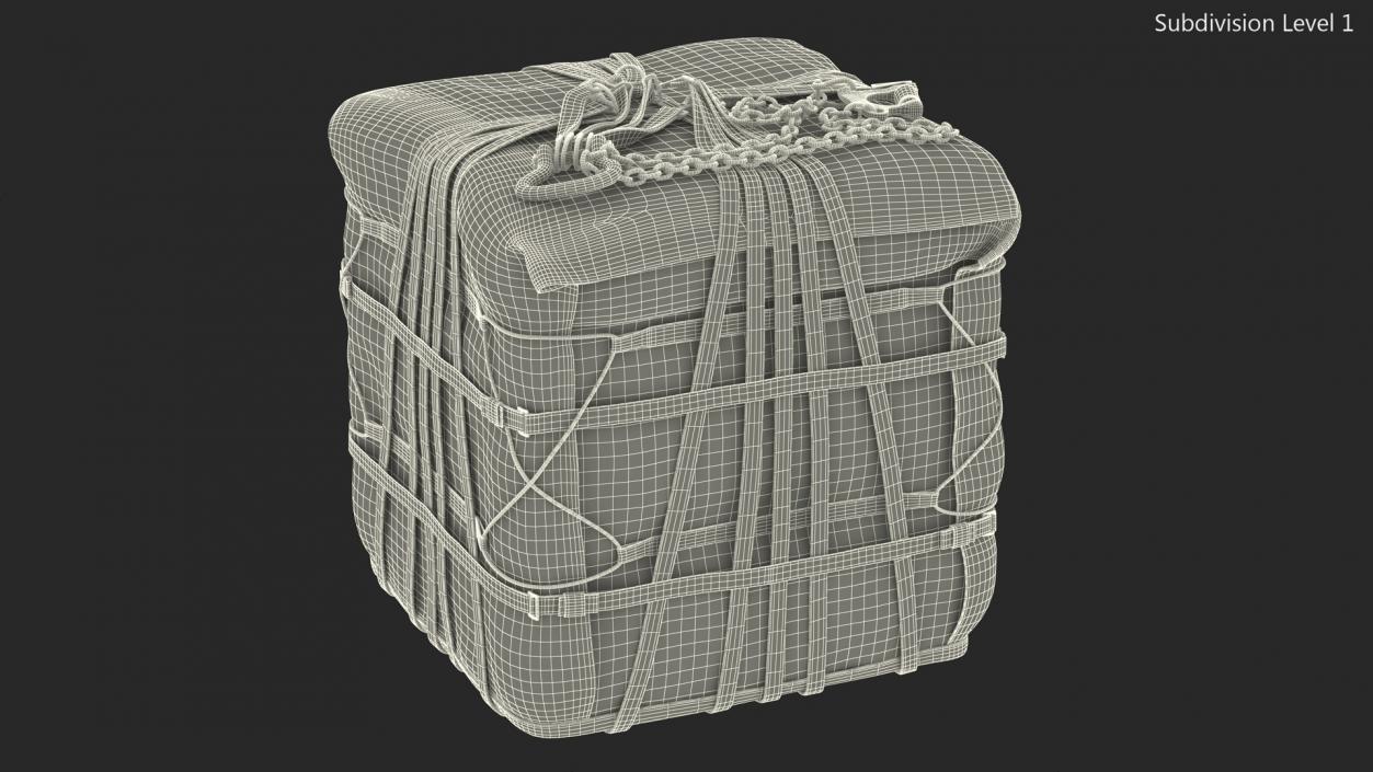 Military Cargo Lifting Net Bag Standing 3D model