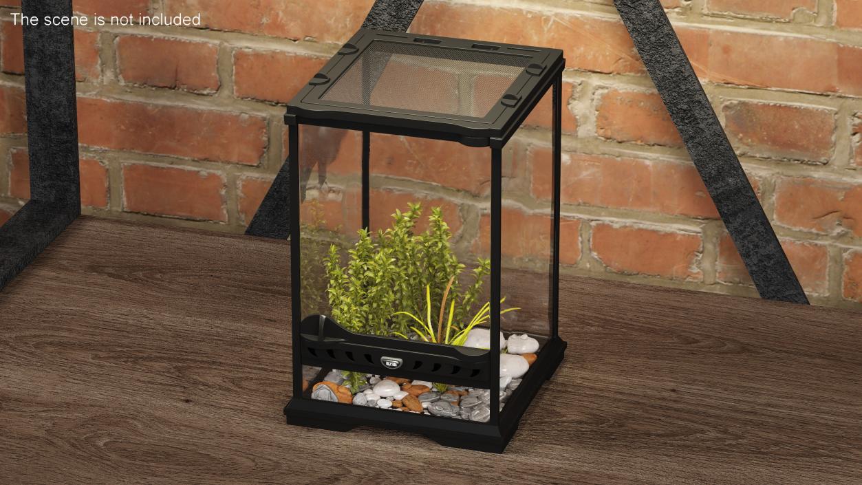 3D Little Desktop Terrarium with Plants