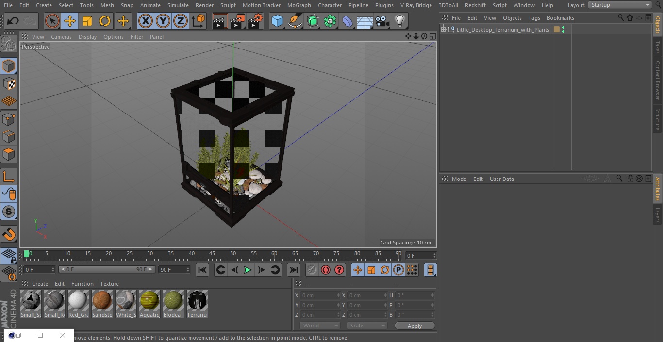 3D Little Desktop Terrarium with Plants