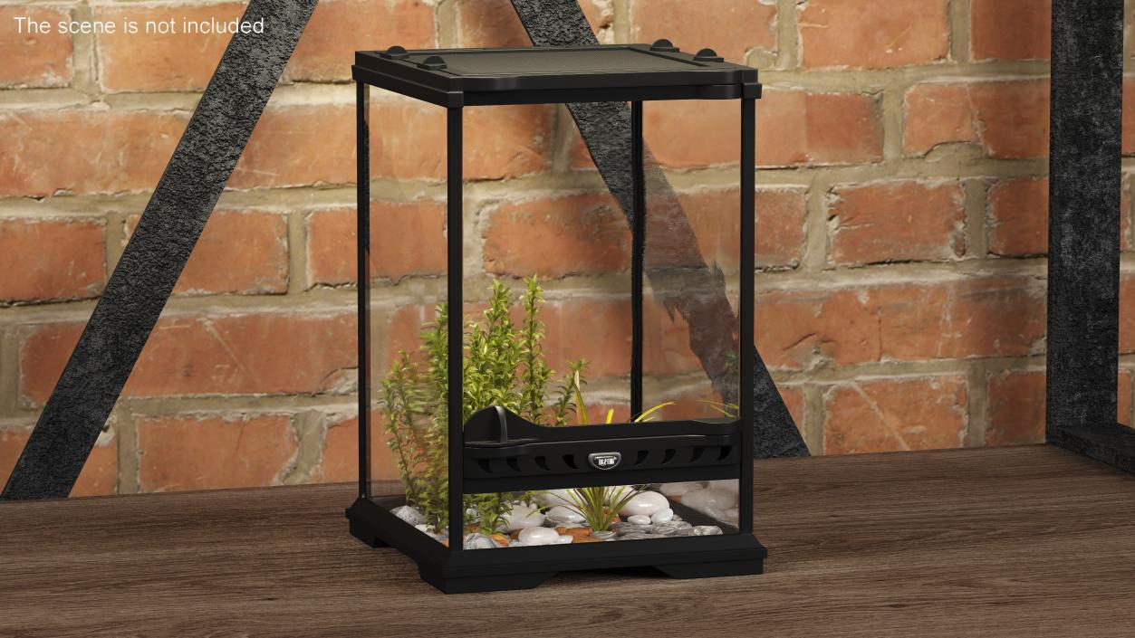 3D Little Desktop Terrarium with Plants