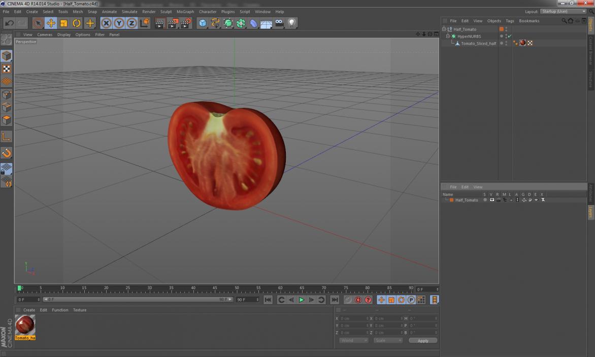 3D Half Tomato