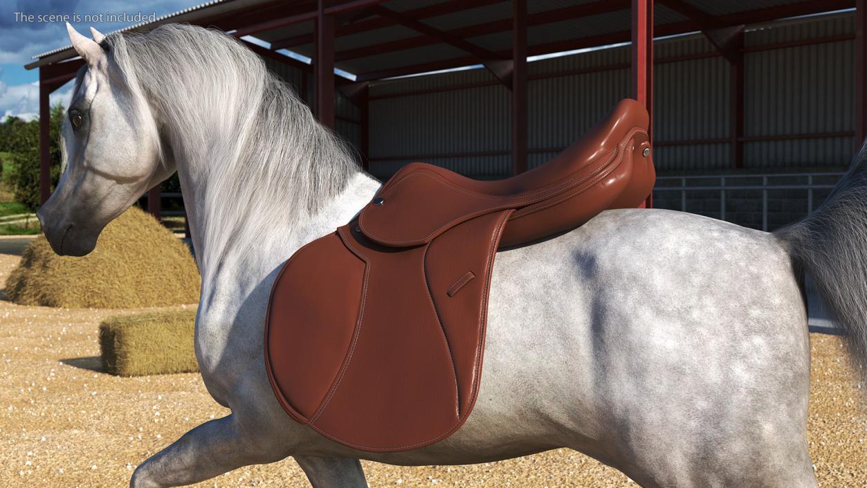 3D All Purpose Saddle model