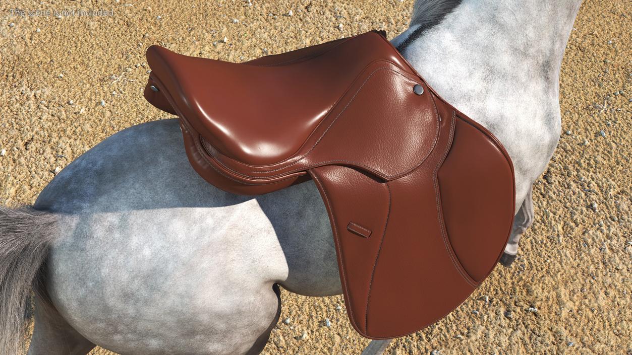 3D All Purpose Saddle model