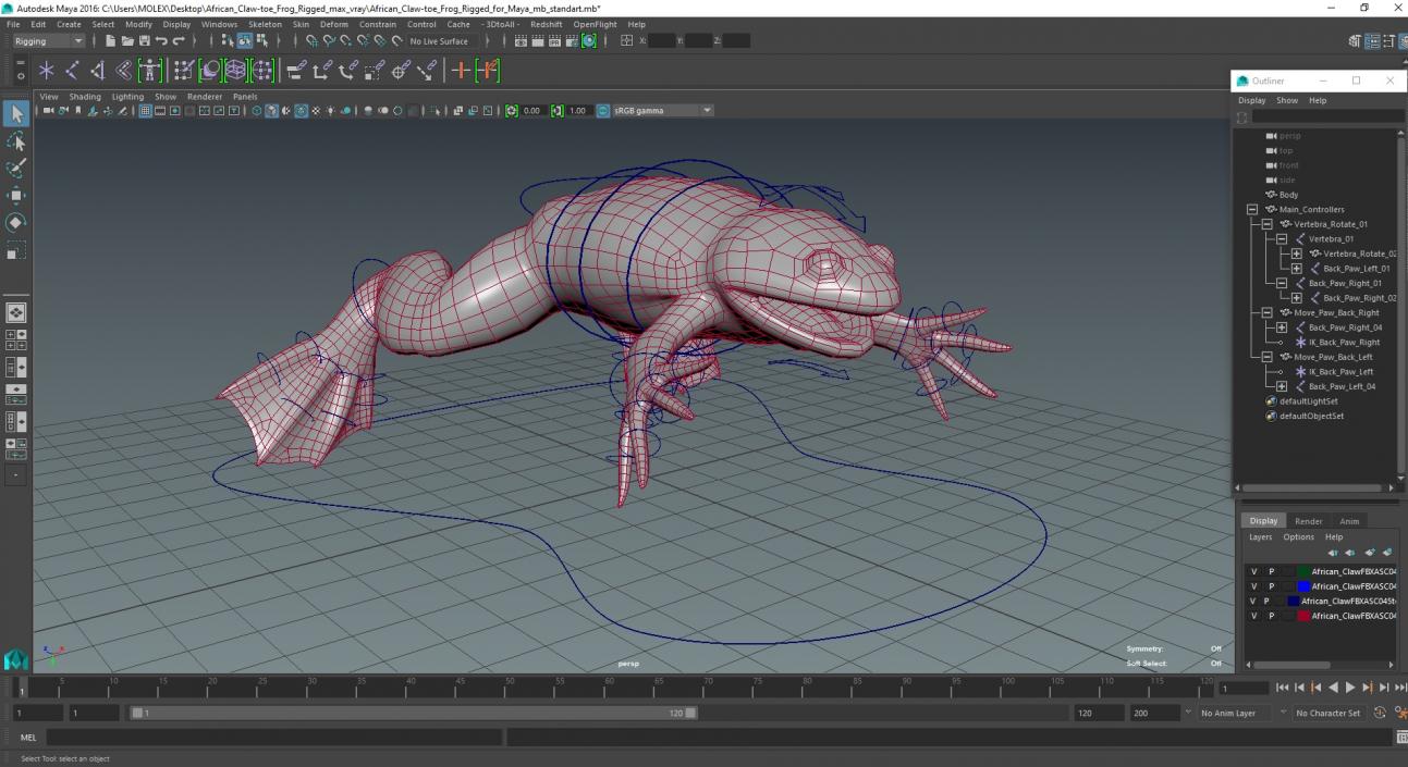 African Claw-toe Frog Rigged for Maya 3D