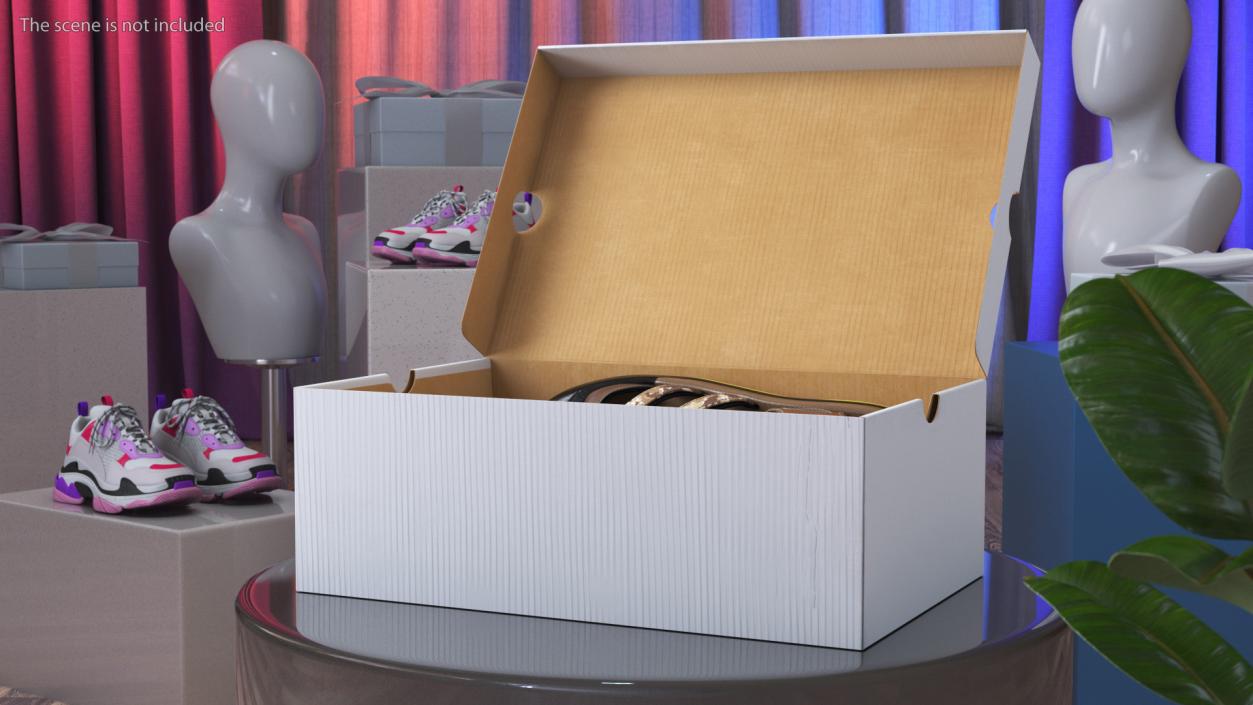 3D Carton Box with Sports Shoes model