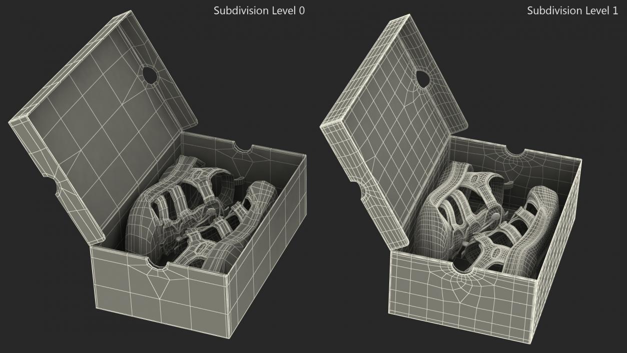 3D Carton Box with Sports Shoes model