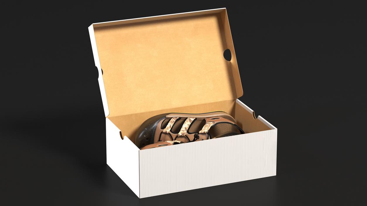 3D Carton Box with Sports Shoes model