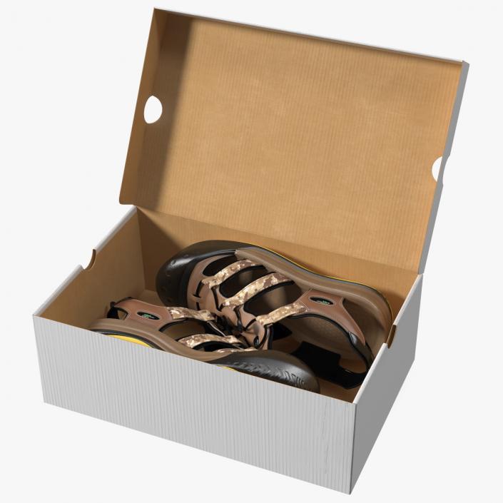 3D Carton Box with Sports Shoes model