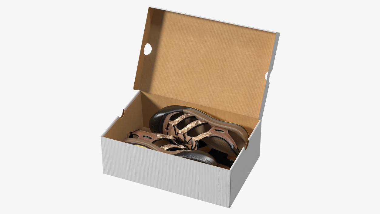 3D Carton Box with Sports Shoes model