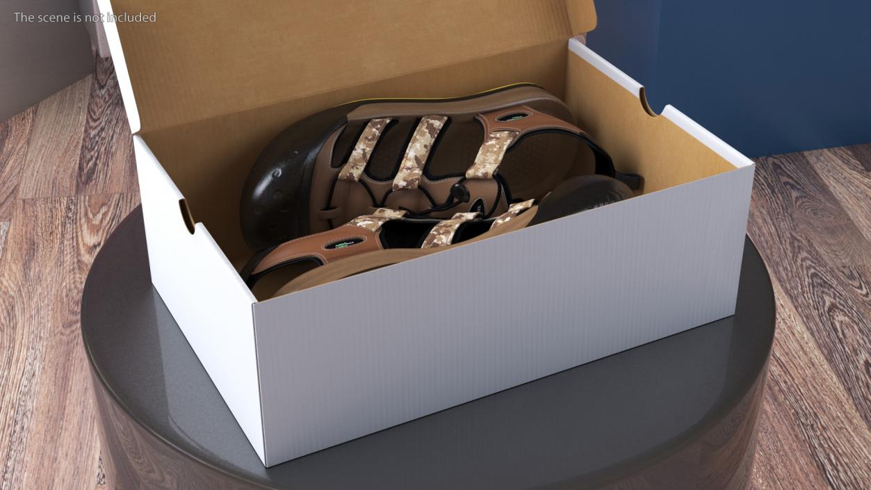 3D Carton Box with Sports Shoes model