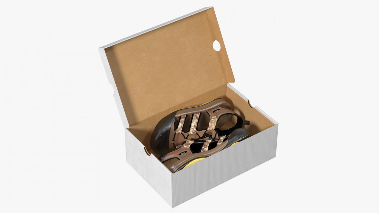 3D Carton Box with Sports Shoes model