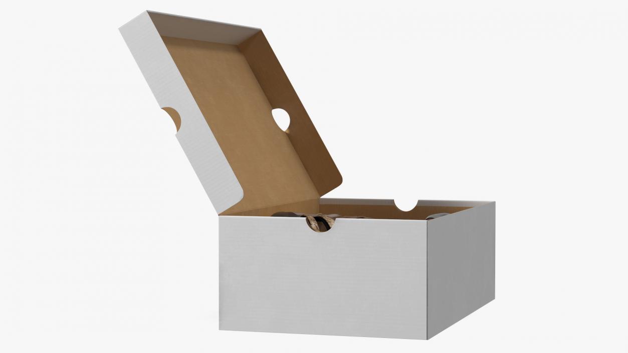 3D Carton Box with Sports Shoes model