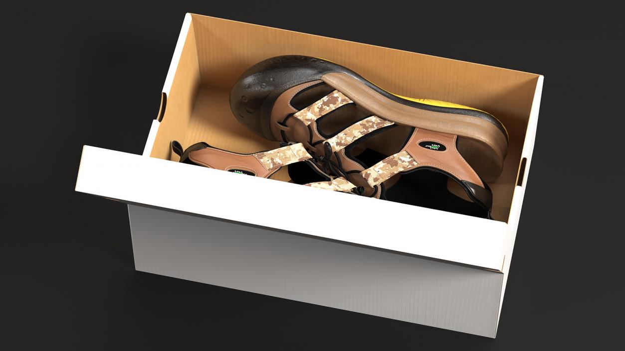 3D Carton Box with Sports Shoes model