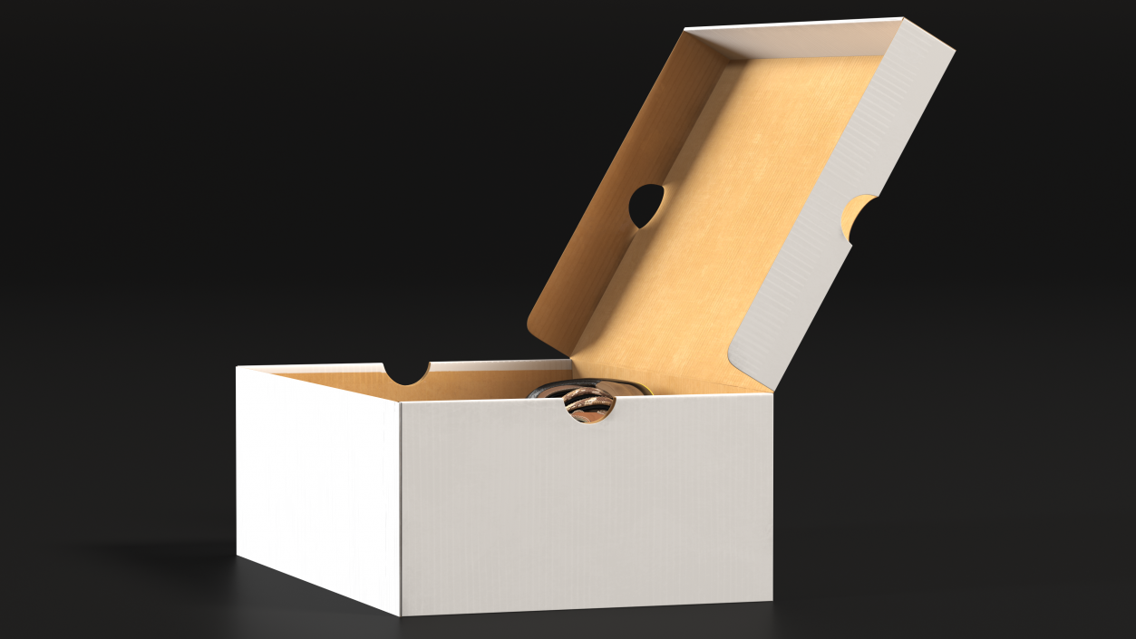 3D Carton Box with Sports Shoes model