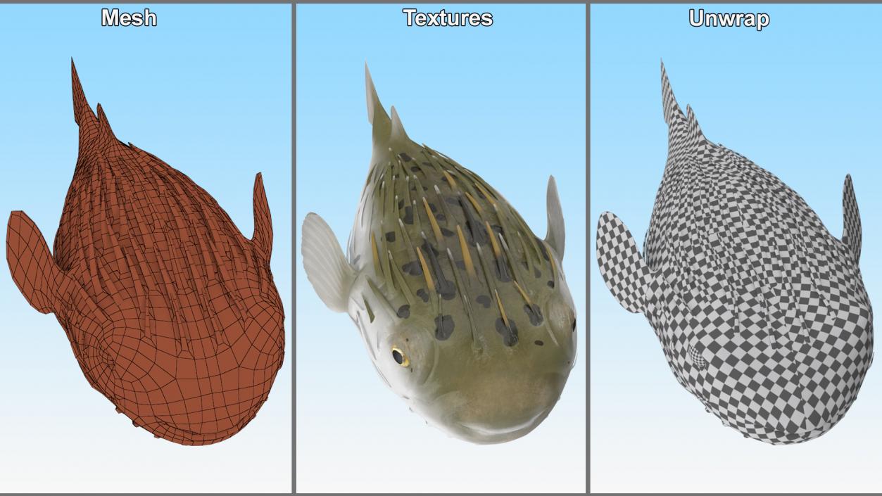 3D Puffer Fish