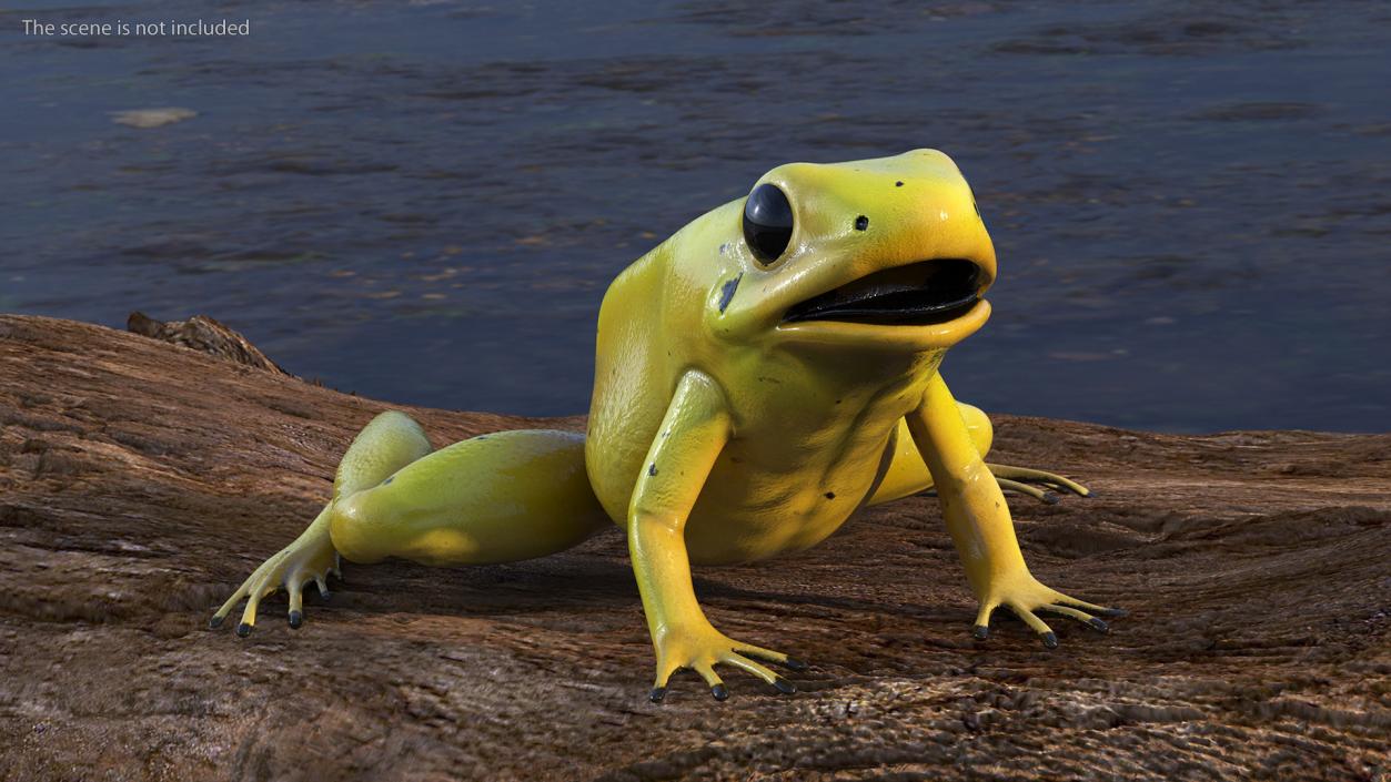 3D Golden Dart Frog Rigged model