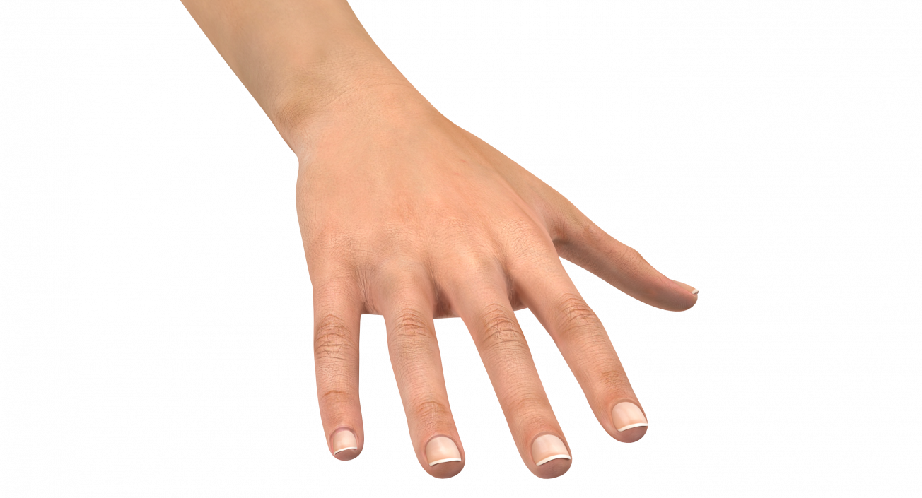 Female Arm with Short Nails 3D