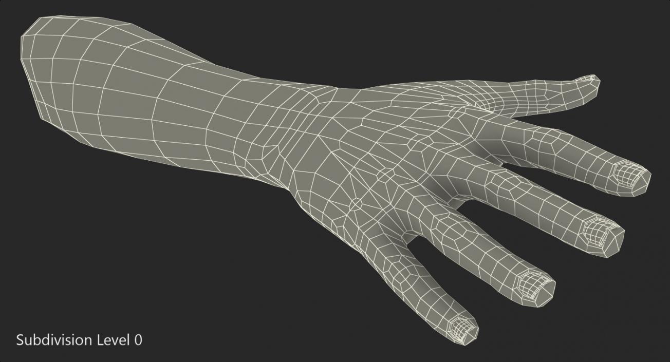 Female Arm with Short Nails 3D