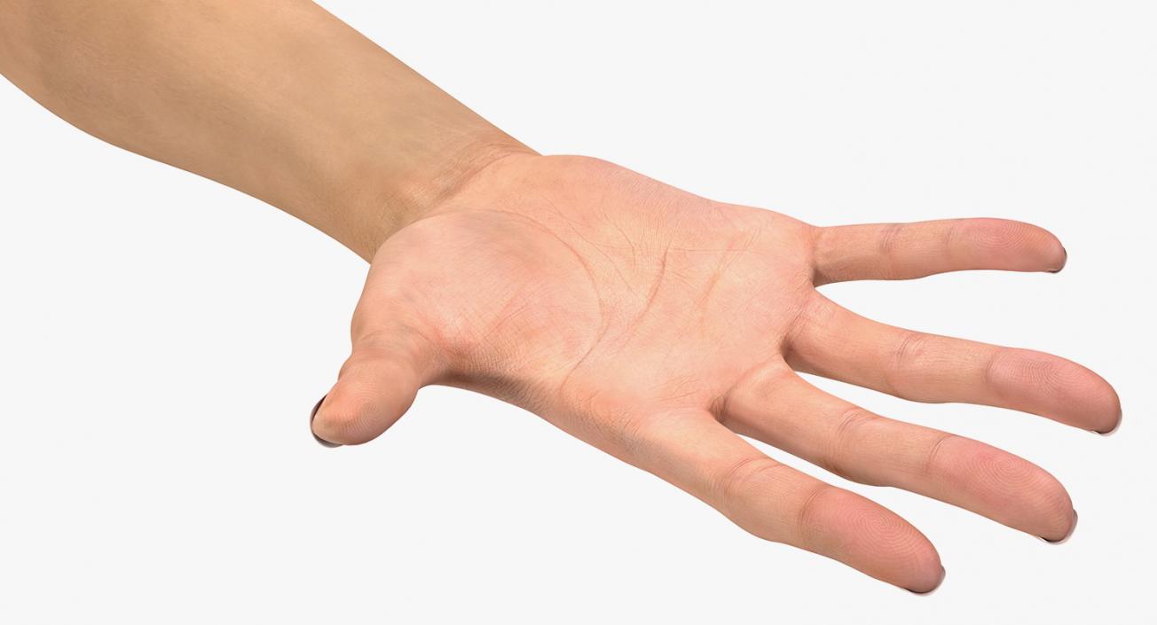 Female Arm with Short Nails 3D