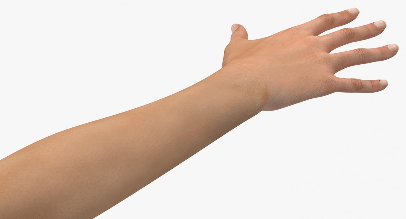 Female Arm with Short Nails 3D