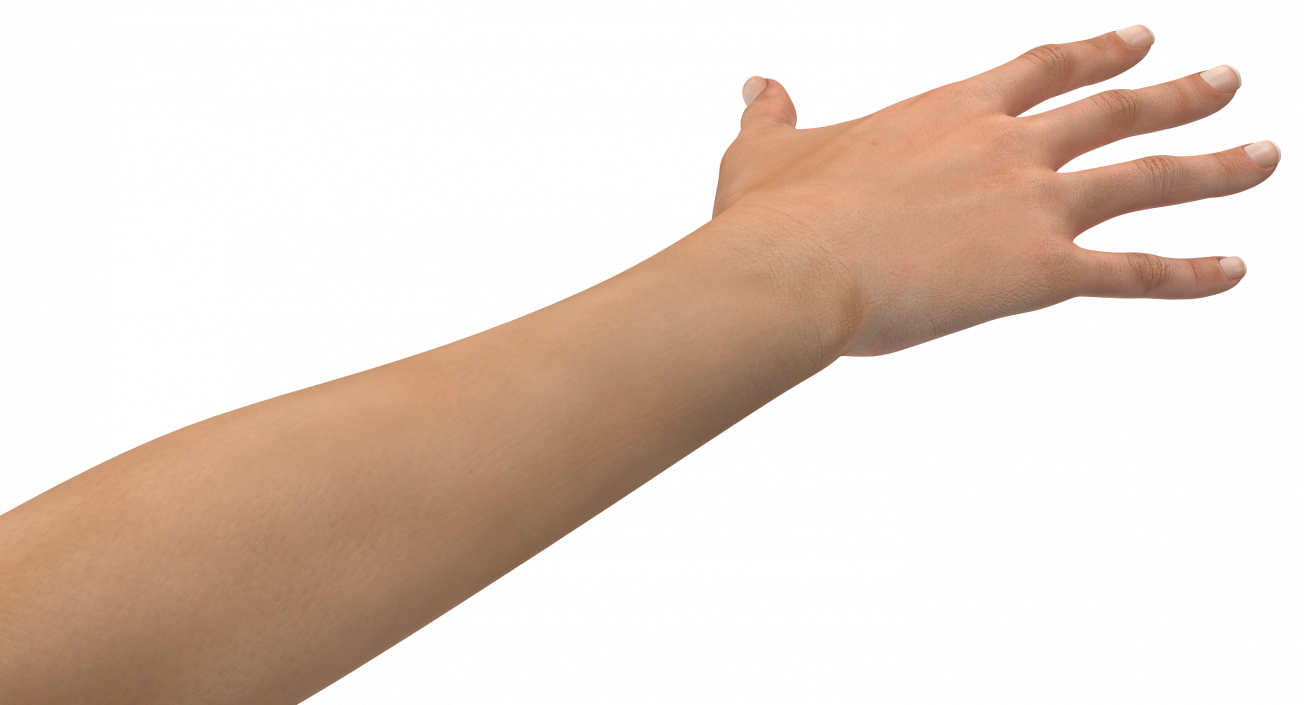 Female Arm with Short Nails 3D