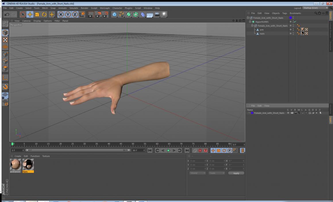 Female Arm with Short Nails 3D