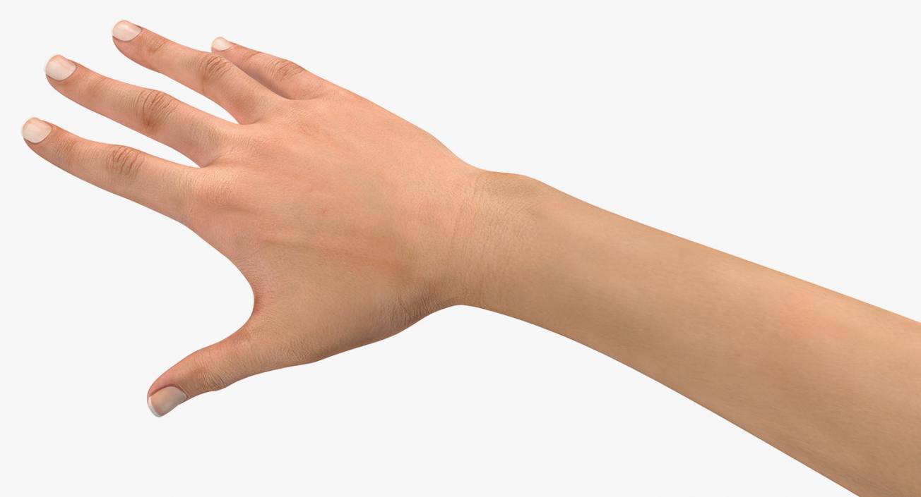 Female Arm with Short Nails 3D