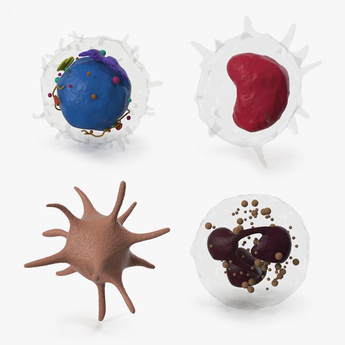 Blood Cells Collection 2 3D model