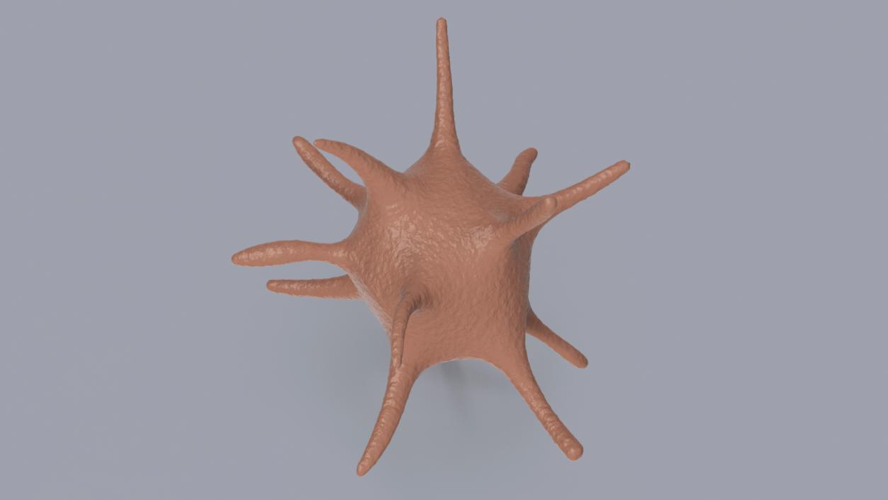 Blood Cells Collection 2 3D model