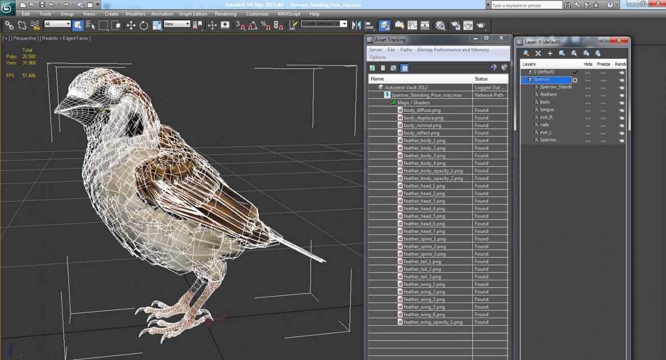 3D Sparrow Standing Pose