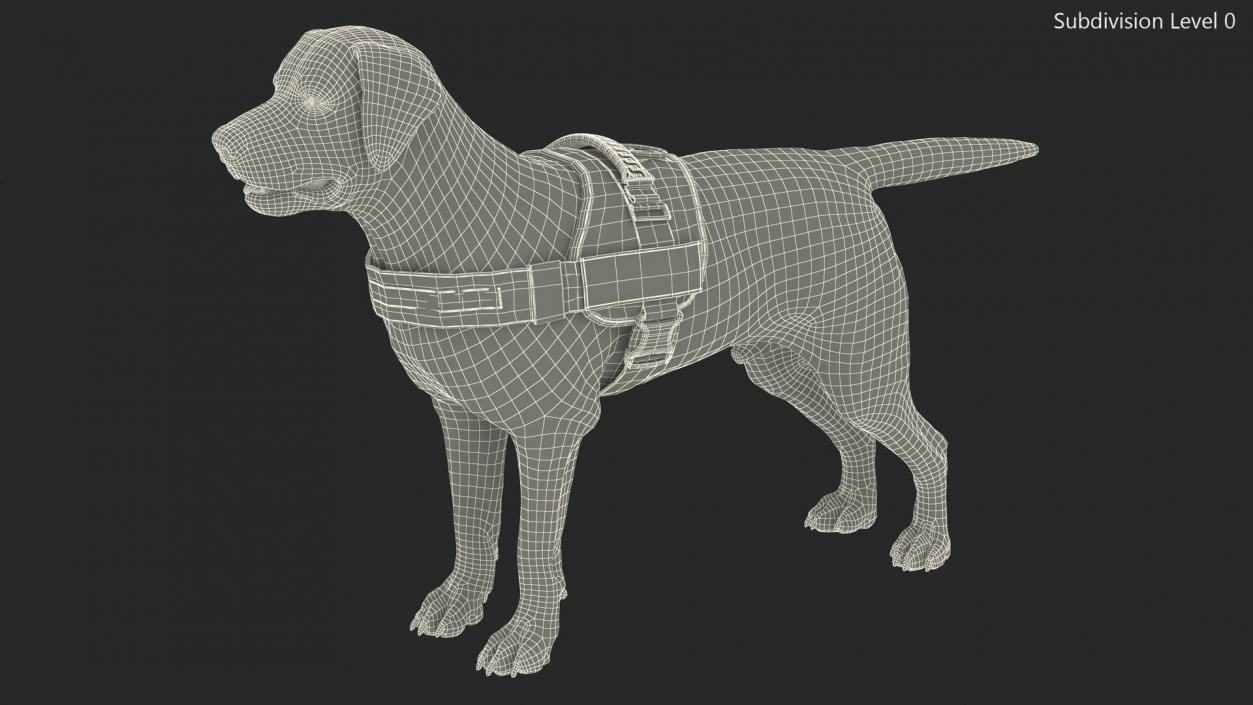 3D Service Dog with Harness Fur model